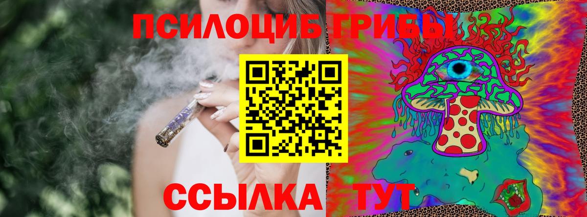 Галлюциногенные грибы мухоморы  купить наркотик  Гусь-Хрустальный  Вход с VPN 